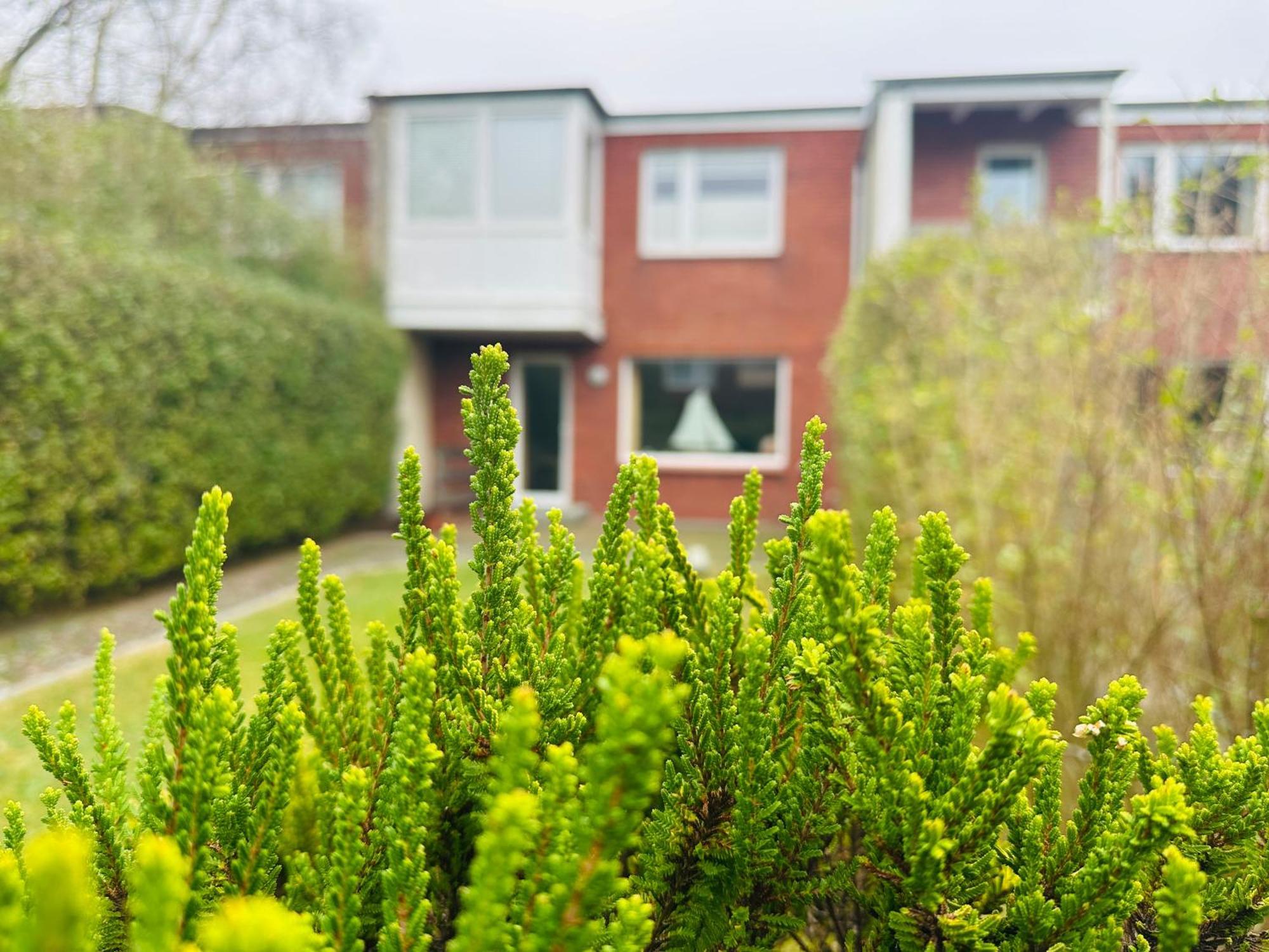 Haus Helma - Wohnen Sie Familiaer Villa Westerland Exterior foto